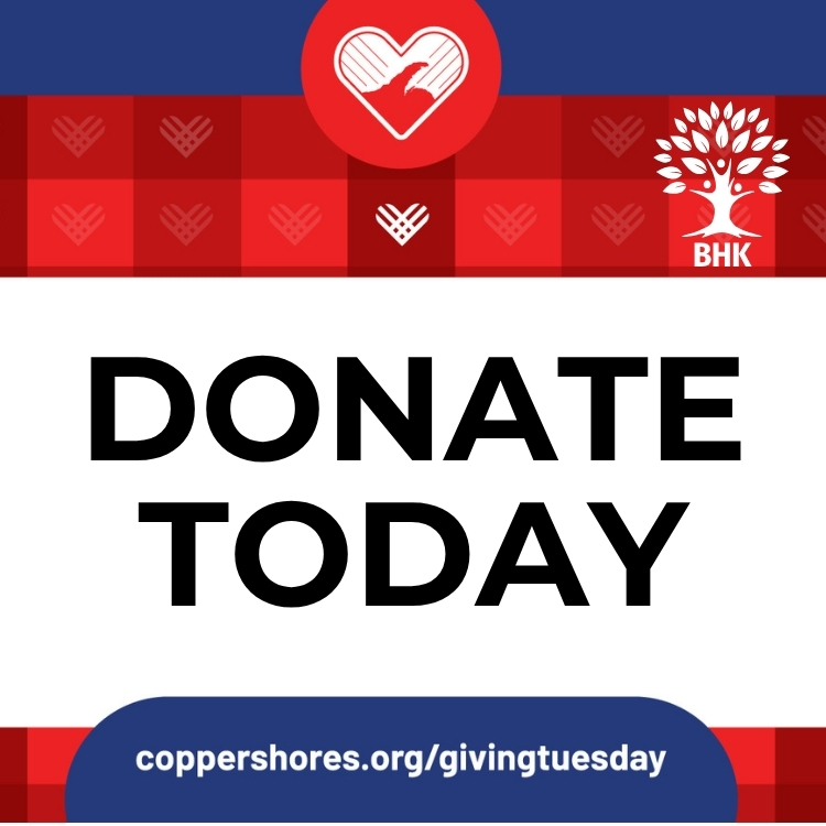 Select BHK Child Development